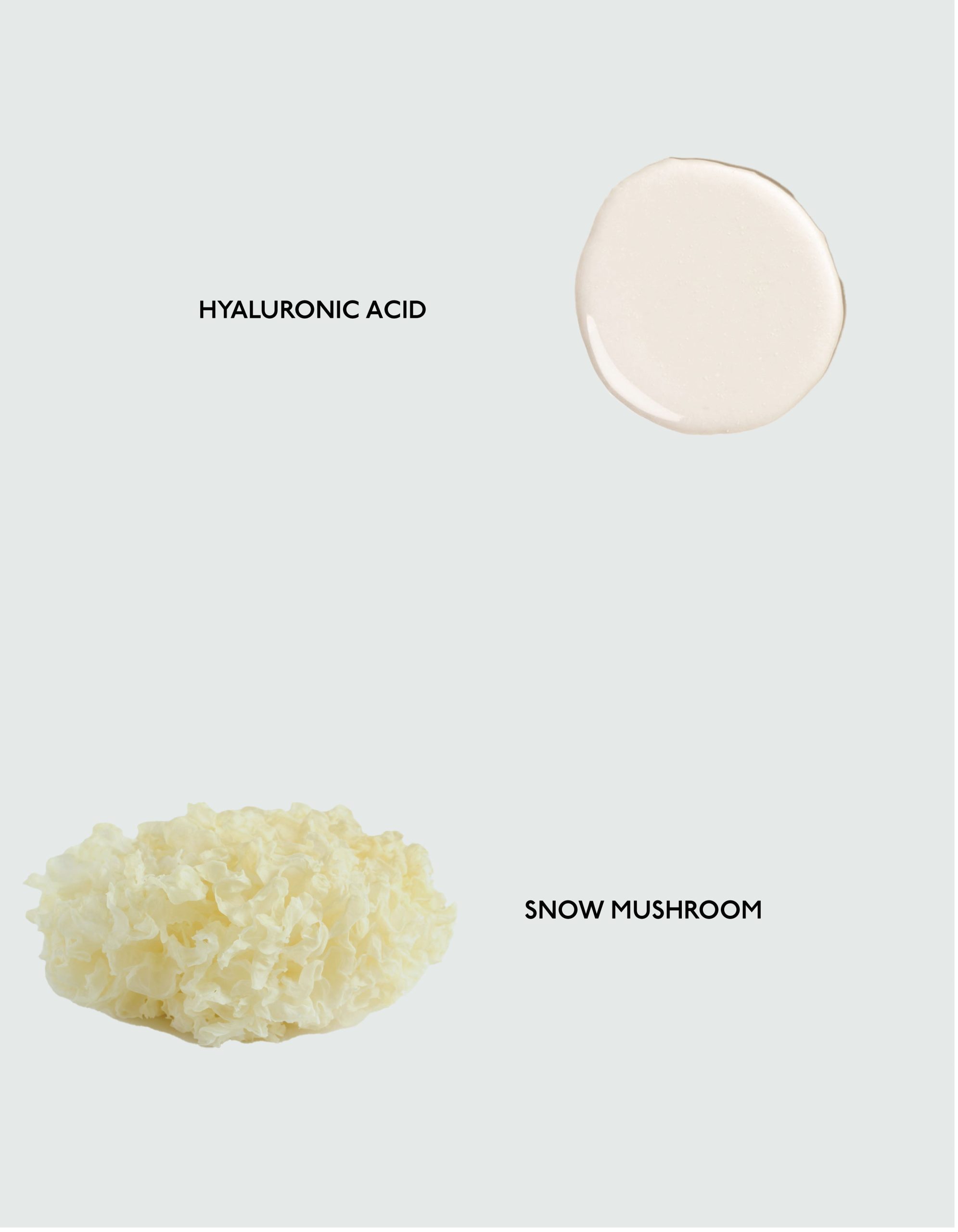 Body Serum - Image 4